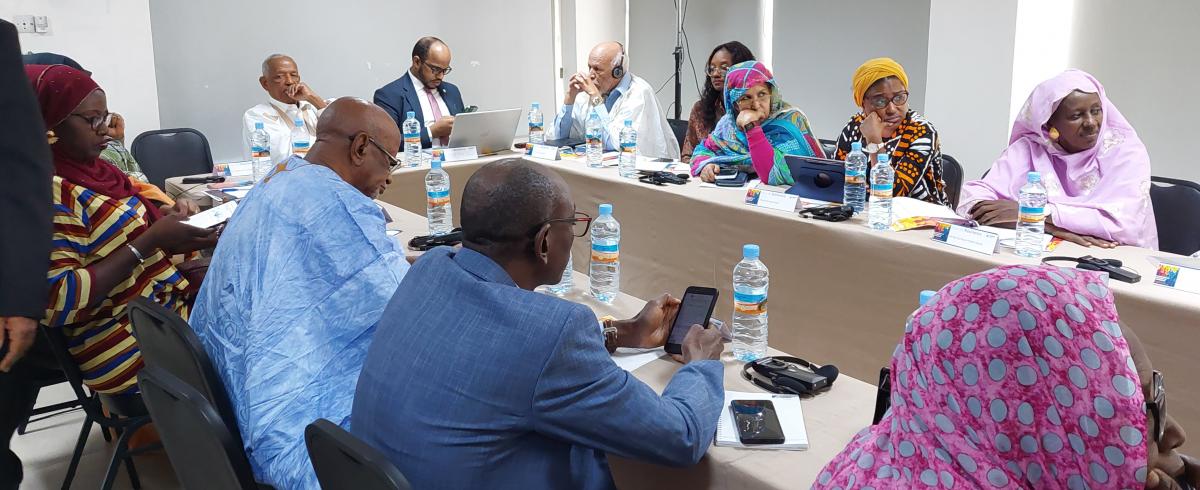 Call for Expression of Interest: Capacity-Building Workshop for NGOs on Integration of a Gender Perspective into Violent Extremism Prevention