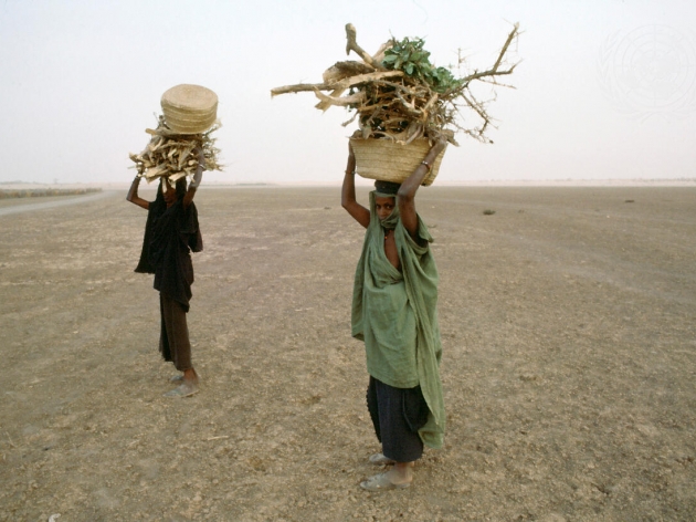 Gender-based discrimination and prevention of violent extremism (PVE) in the Sahel